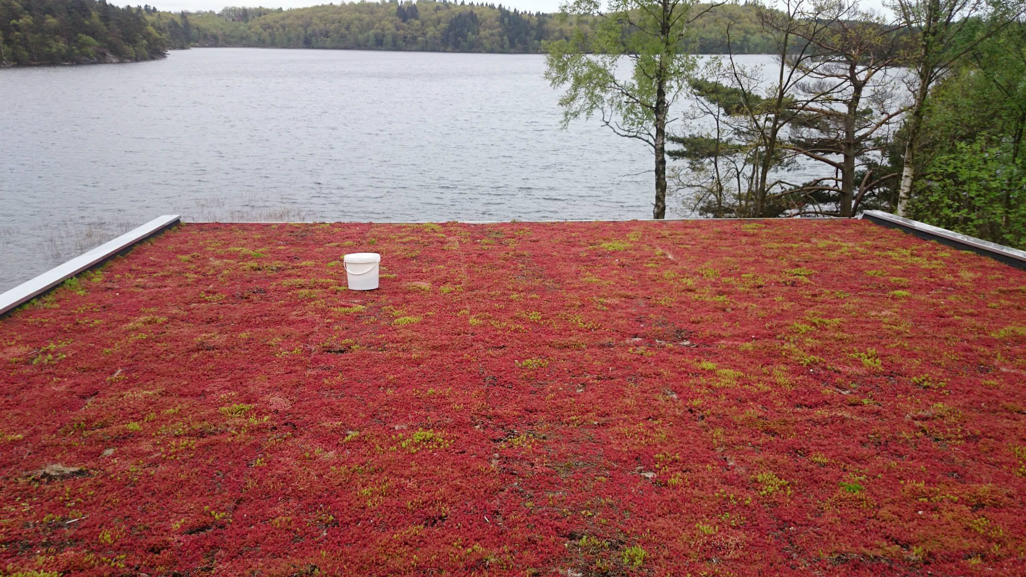 Högkvalitativ Papptak i Bergsjön